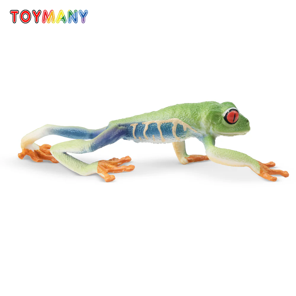 Art Craft Eyes - Toymany Simulatie Rode ogen Boomkikker Reptiel