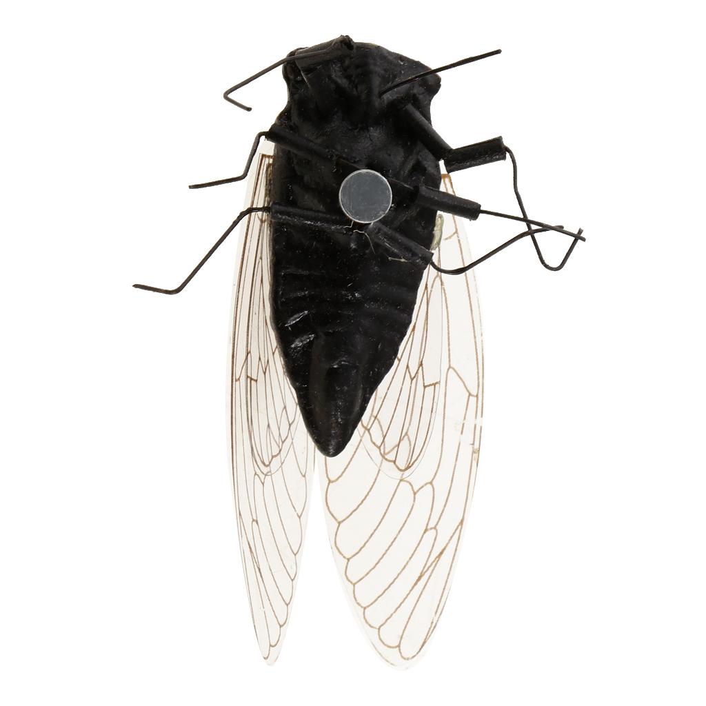 2x Klei Insectenmodel Koelkast - Art Craft Clay recensie en prijs