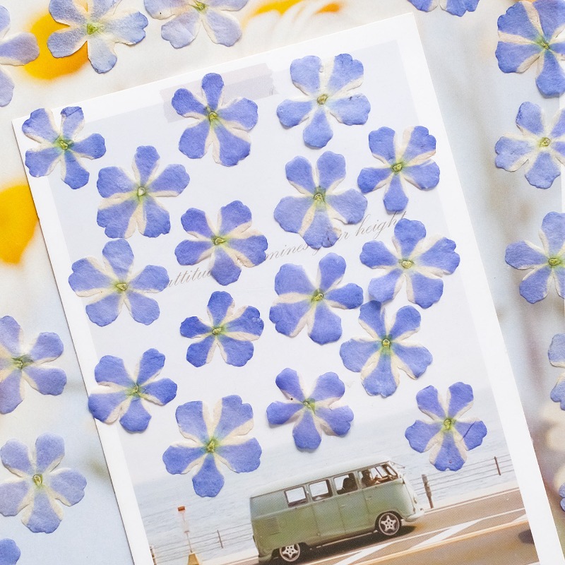 50 stuks/1,5-2cm, geperste ged - Art Craft 2 Year Olds recensie en prijs