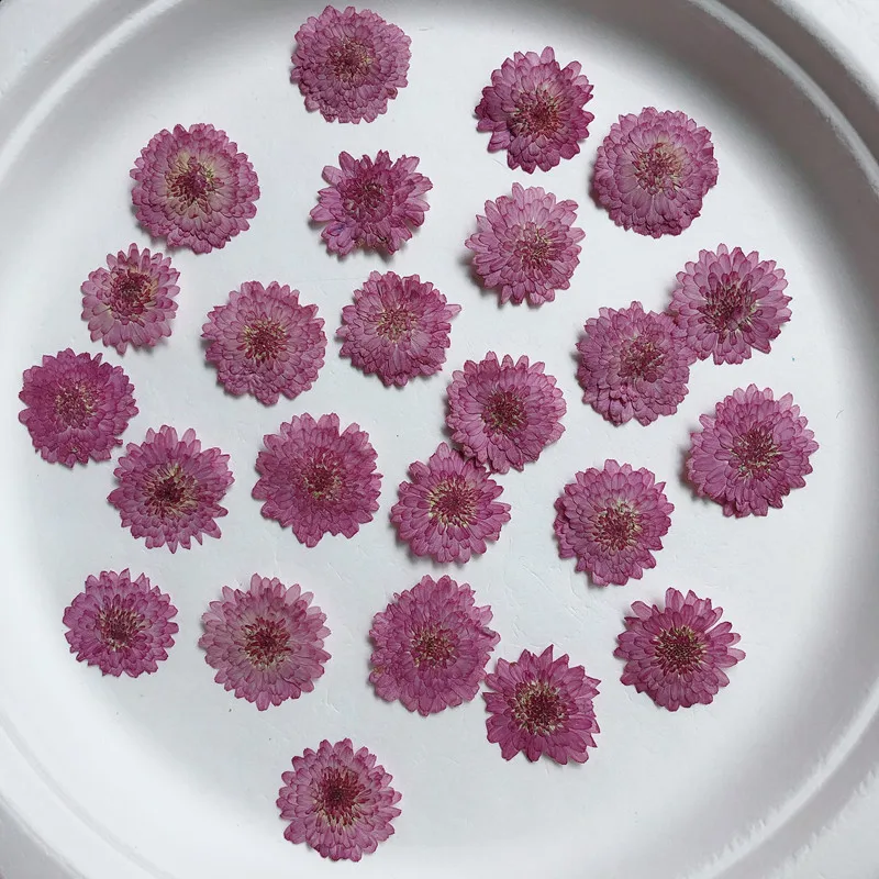 Natuur geperste bloemen echte  - Art Craft 2 Year Olds recensie en prijs
