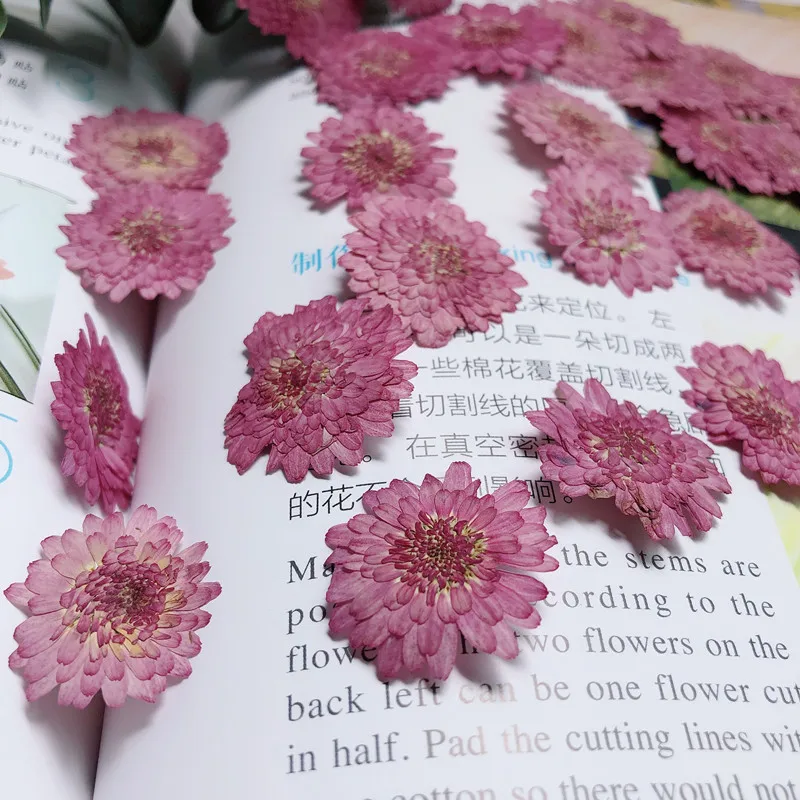 Natuur geperste bloemen echte  - Art Craft 2 Year Olds recensie en prijs