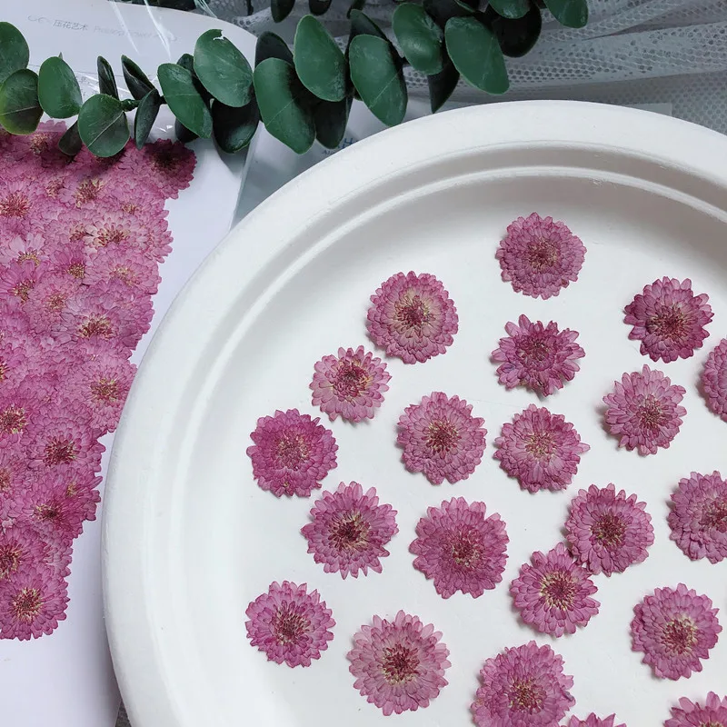 Natuur geperste bloemen echte  - Art Craft 2 Year Olds recensie en prijs