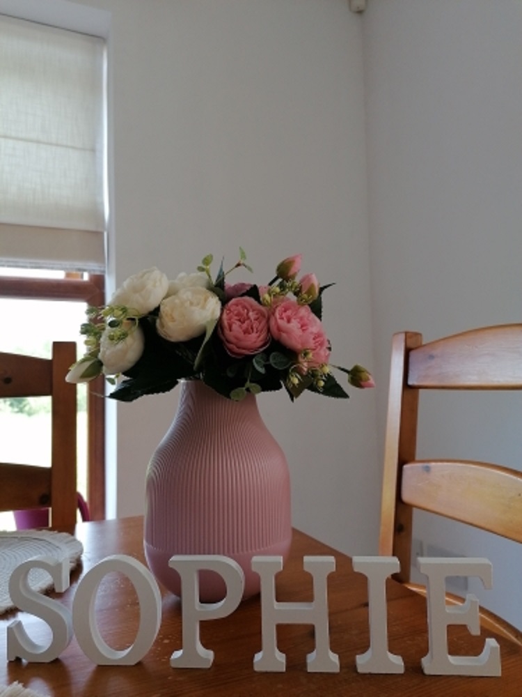 1Pc 8Cm Witte Houten Brief Eng - Letter S Art Craft recensie en prijs