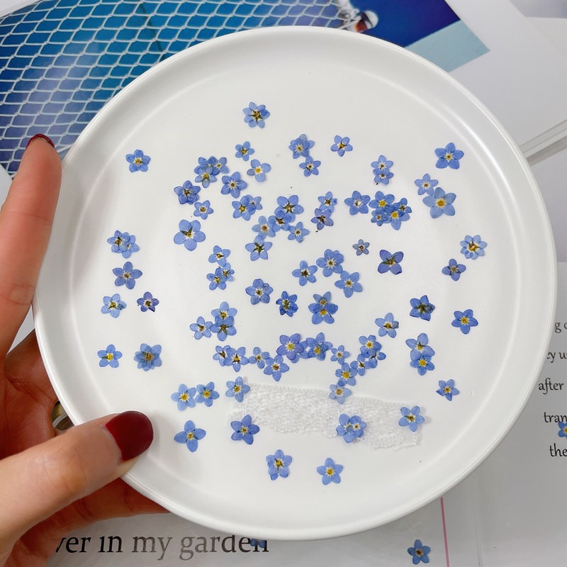100 stks/0.5-1 cm, geperst min - Art Craft 2 Year Olds recensie en prijs