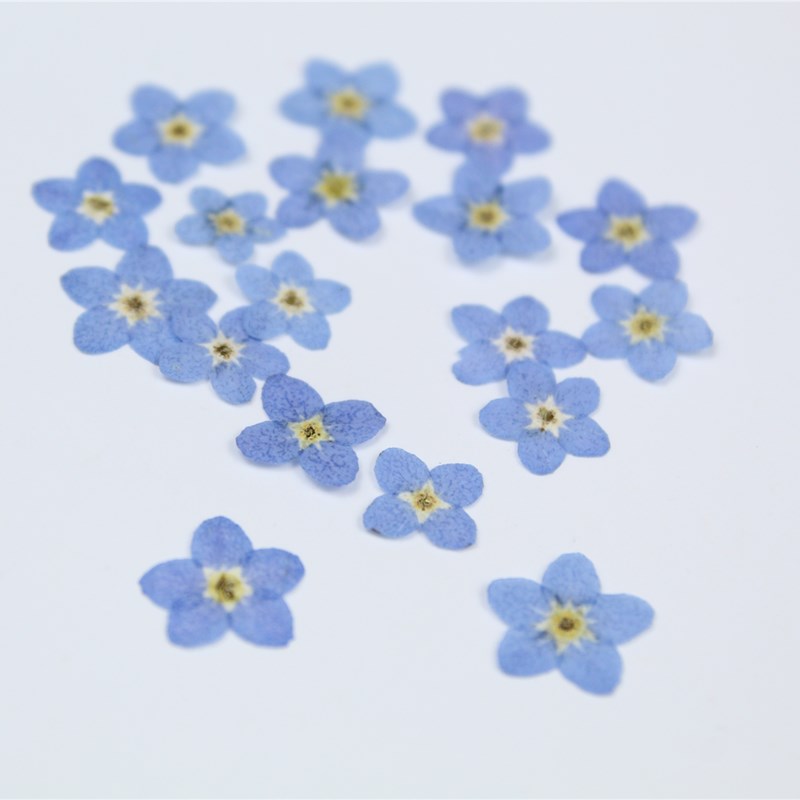100 stks/0.5-1 cm, geperst min - Art Craft 2 Year Olds recensie en prijs