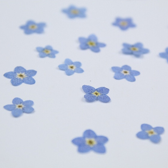 100 stks/0.5-1 cm, geperst min - Art Craft 2 Year Olds recensie en prijs